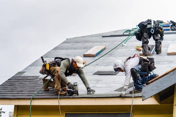 Professional Gutter Installation technician working in Braselton, GA